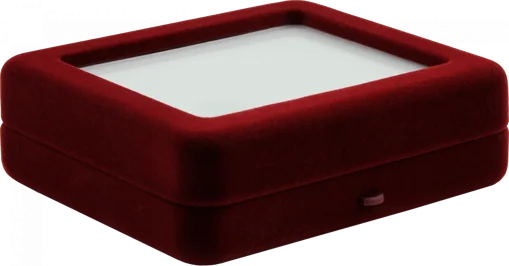 Футляр з прозорою кришкою для інвестиційних монет